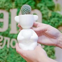 Набор для выращивания Экочеловеки eco романтик с ушками Набор для выращивания Экочеловеки eco романтик с ушками