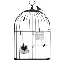 Клетка twitter 90 Клетка twitter 90