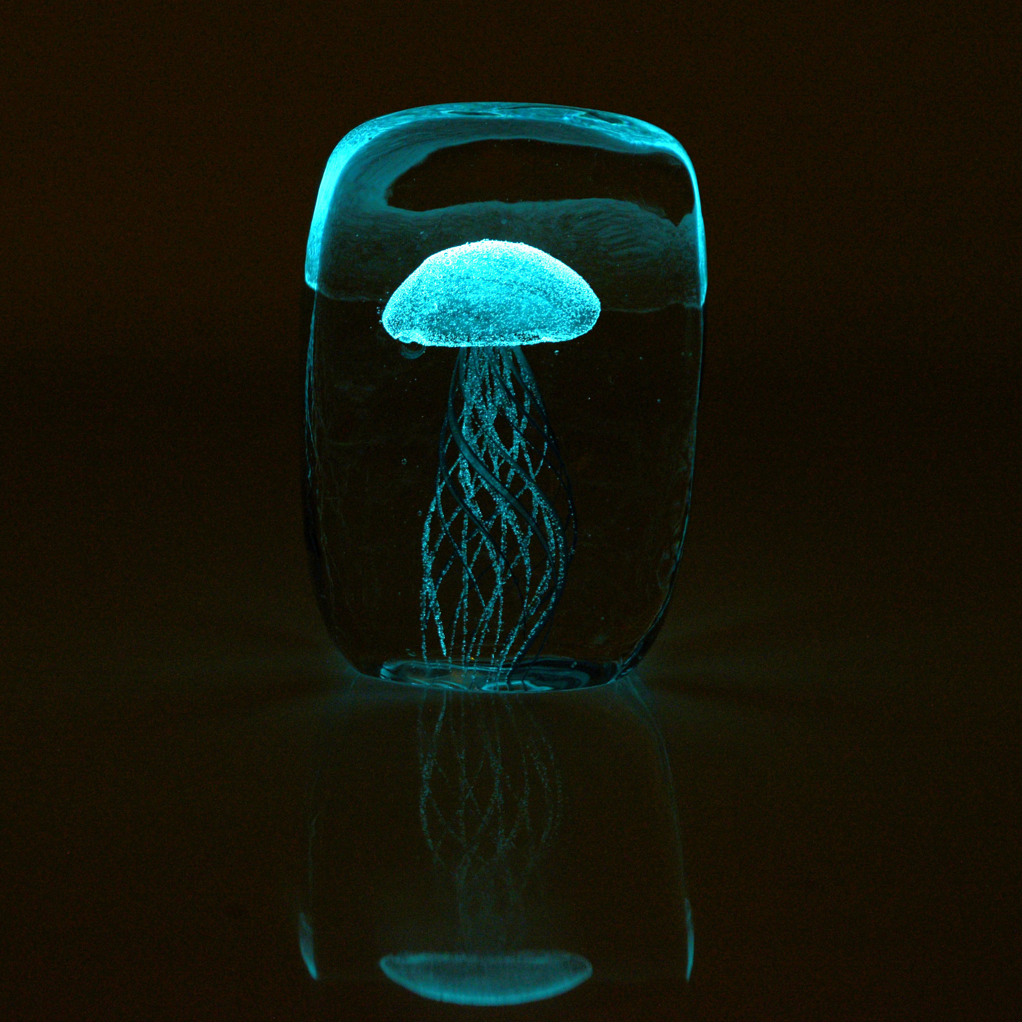 Медуза цена лайф. Стеклянная медуза. Медуза в стекле. Настольный декор медуза. Медуза из стекла.