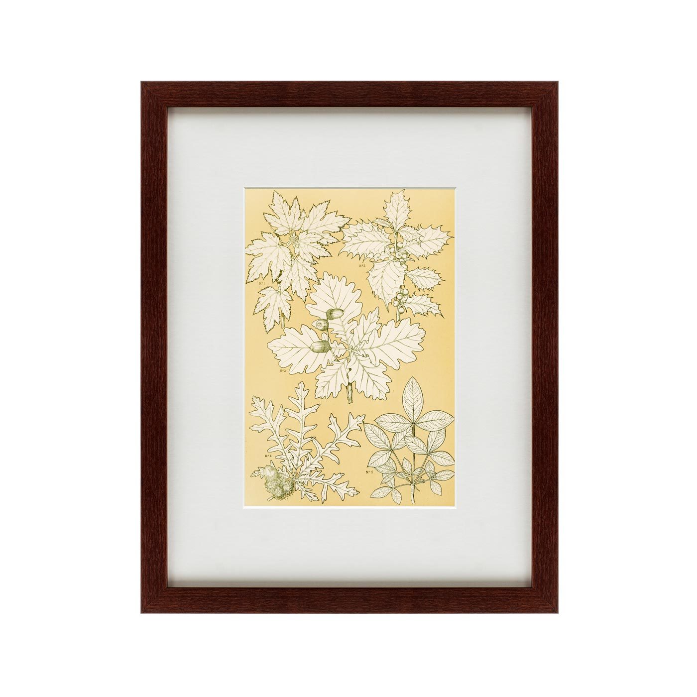 

Картина Grammar of Ornament №1 1856 г.