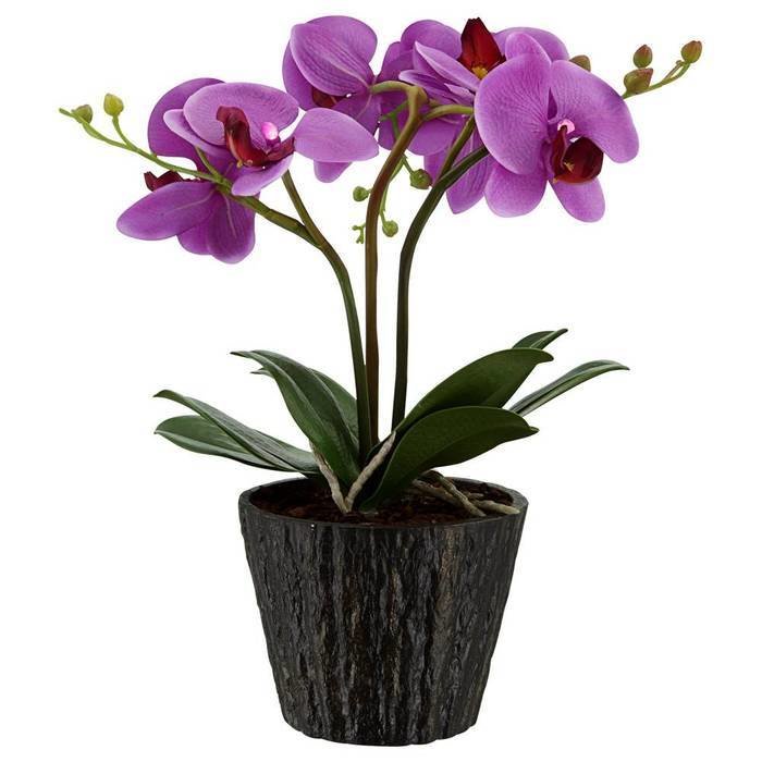 НАСТОЛЬНАЯ ЛАМПА GLOBO FLOWERPOWER НАСТОЛЬНАЯ ЛАМПА GLOBO FLOWERPOWER