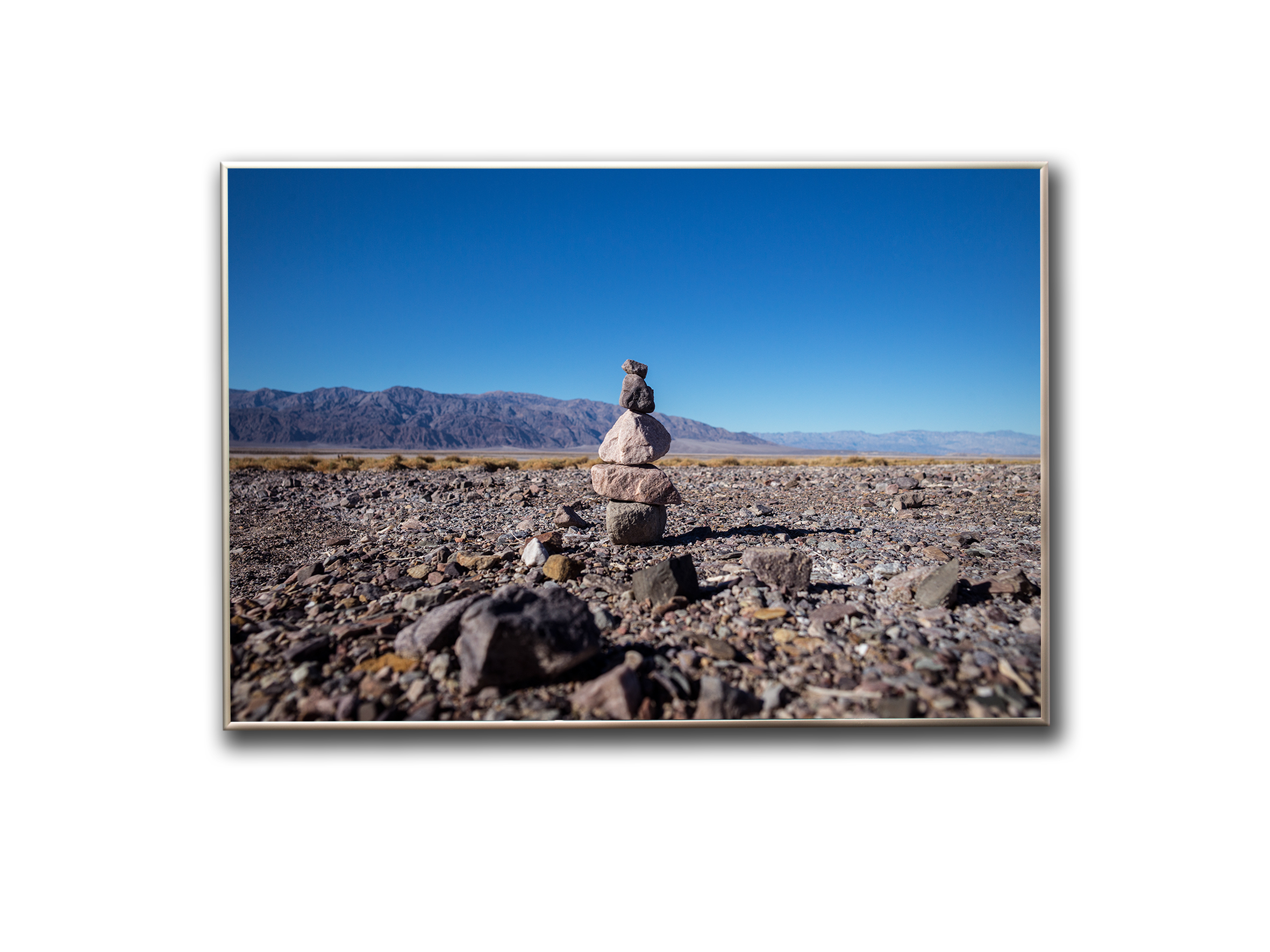 

Постер "Desert Tree"