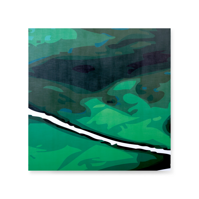 

Картина из пяти частей Abstraction Green