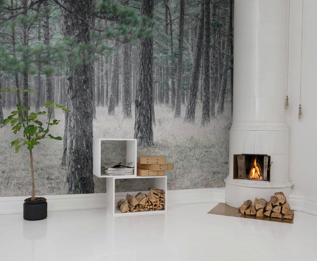 

Дизайнерские обои Pine Forest