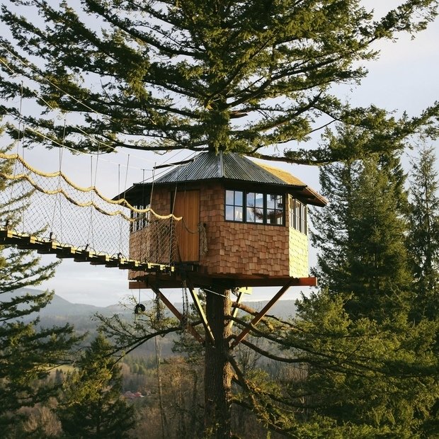 Фотография:  в стиле , Гид, Дом и дача, домик на дереве – фото на INMYROOM