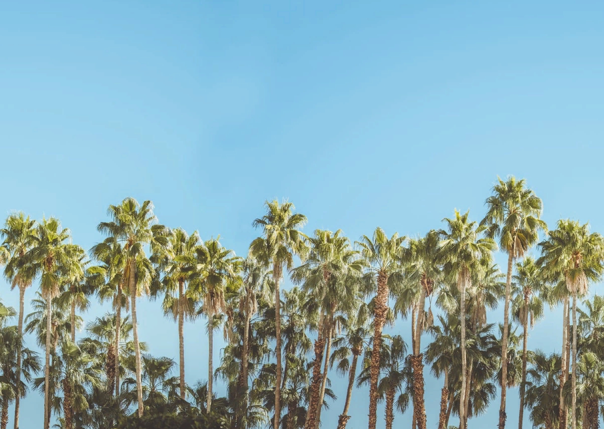 

Дизайнерские обои Riviera Daydream