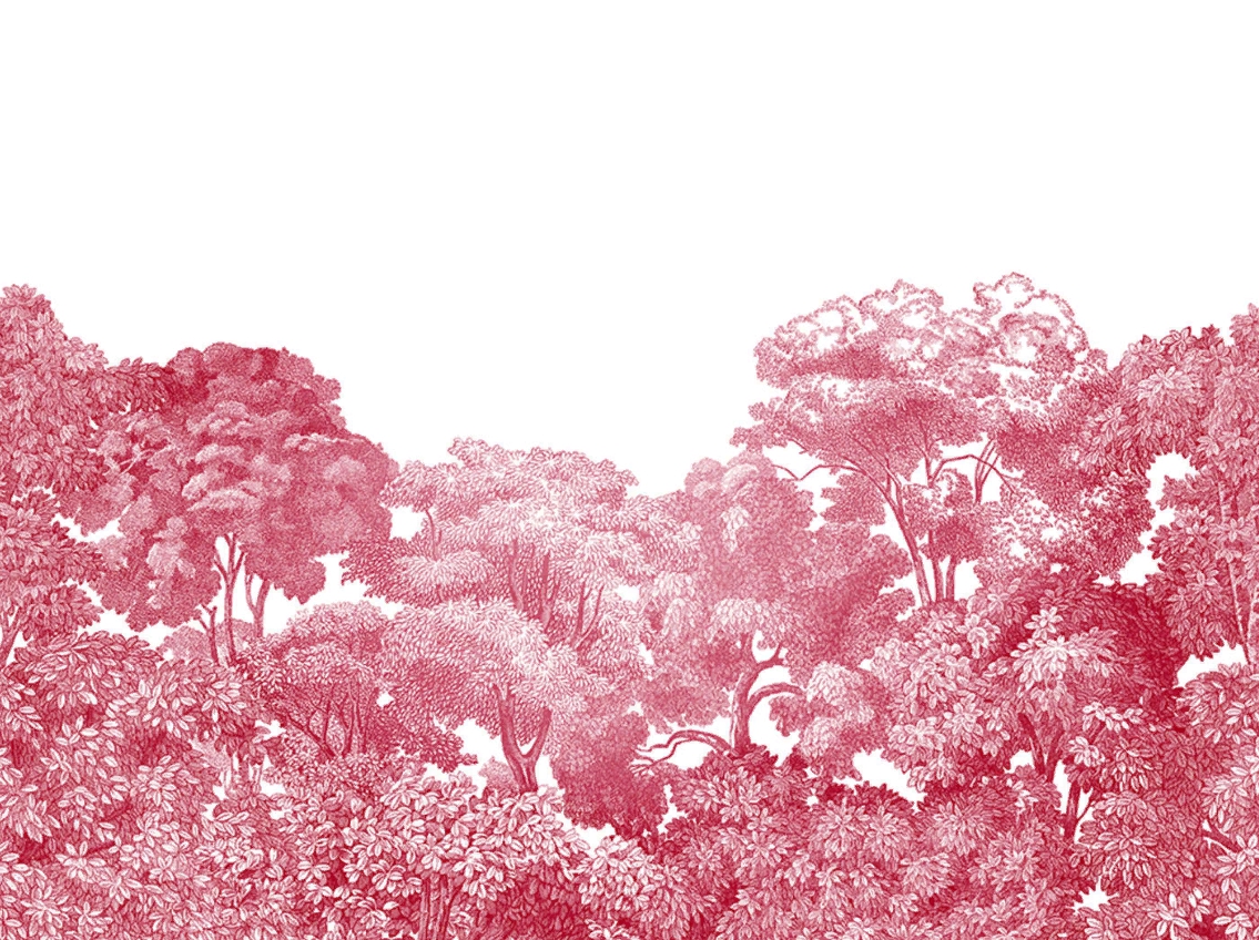 

Дизайнерские обои Bellewood Crimson Toile