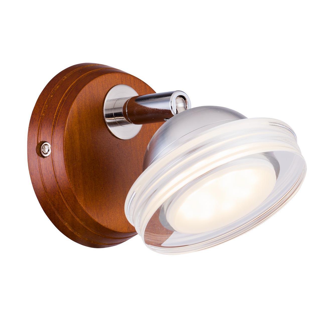 

Светодиодный спот Natura Led Venge с плафоном из стекла
