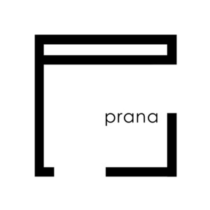 Дизайнер интерьера Prana Studio